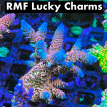 RMF Lucky Charms