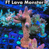 FarmerTy Lava Monster 50% (3 month delay)
